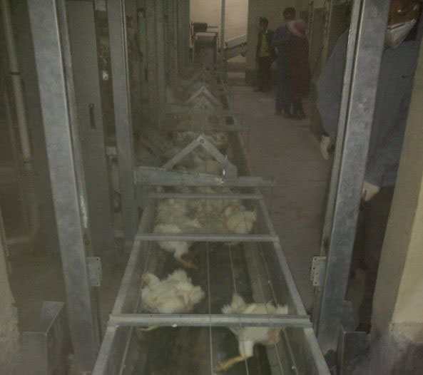 養(yǎng)殖場(chǎng)